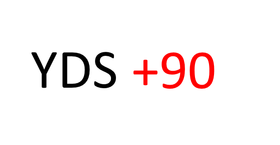 YDS'den 90 üstü almak için
