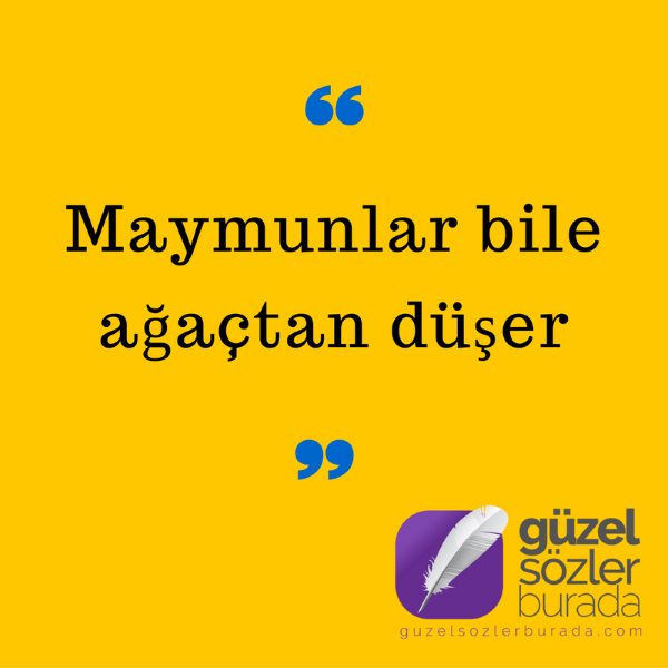 Japon atasözleri ve anlamın evrenselliği